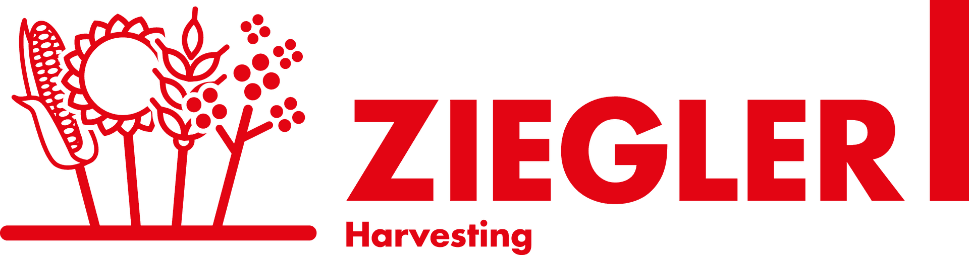 Ziegler