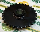 Pinion Z-29 06534624