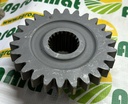 Pinion Cutie 980334