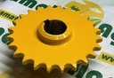 Pinion 84981224 (Z-24)