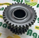 Pinion Z21/32 6855960