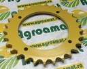 Pinion Z-29 80388733