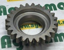 Pinion G198100080010