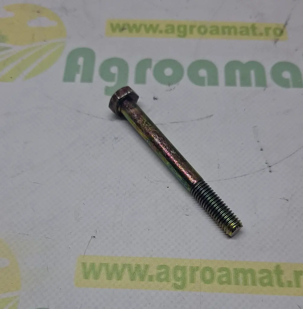 4f93fb75-eba4-490b-817a-2e21b6b06dc2.webp