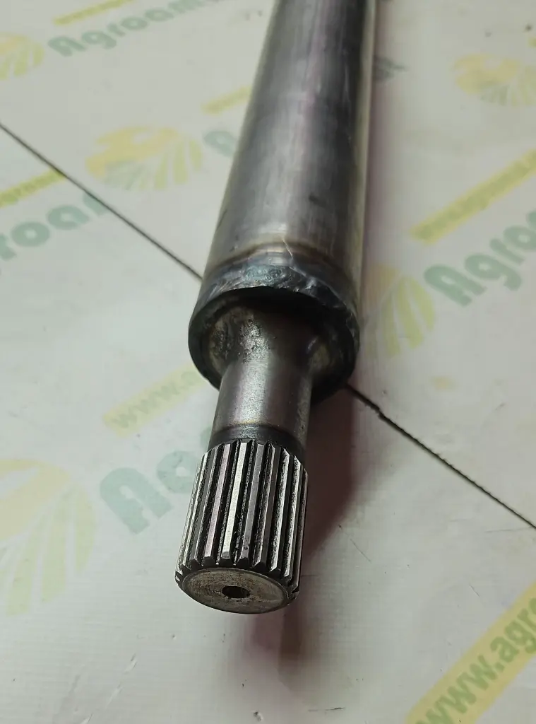 dfd9eb48-ac7e-41cb-97b7-f663f98447e9.webp