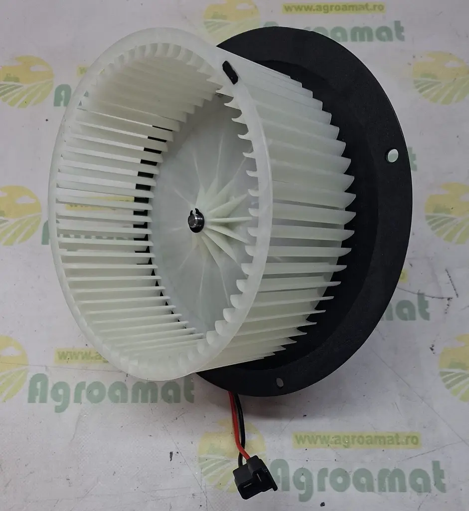 efaeaca2-a189-443c-bf42-26a10ce54c7e (1).webp