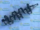 a40f938d-7a5f-49ec-a376-0da4dfc37523.webp