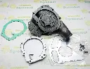 2ceda100-510c-4eff-831a-58ae848ab852.webp