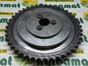 Pinion Com. 89593579 Z44