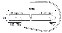 ff378e0