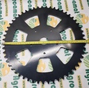 Pinion VF16616315