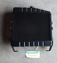 Radiator 3145498R93