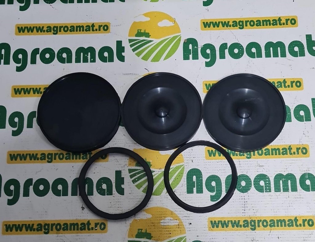 Kit Membrane Pompa Rau 105/110mm