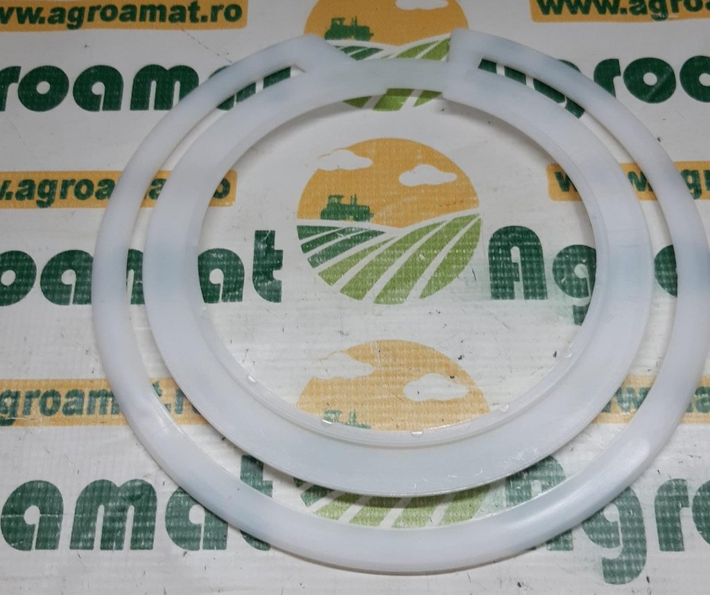 Garnitura Disc Rau / Sicam RF03979