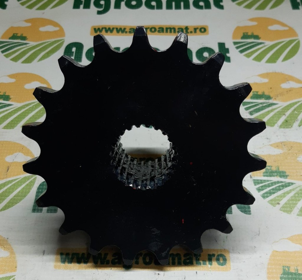 Pinion Z-19/22