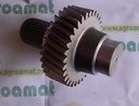Pinion Cutie 302553A1
