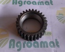 Pinion Satelit Fata Z=27 L156865
