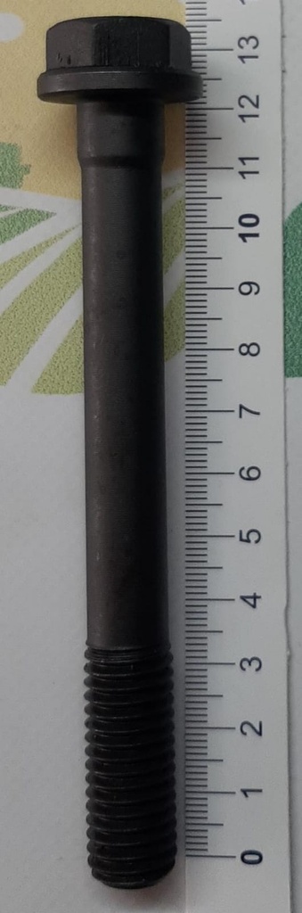 Prezon Chiulasa 3138747R1