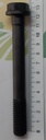 Prezon Chiulasa 3138747R1