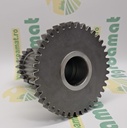 Pinion Punte Fata 5117568