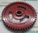 Pinion 1121.25.02.01