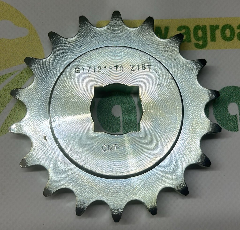 Pinion Lant G17131570R