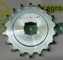 Pinion Lant G17131570R
