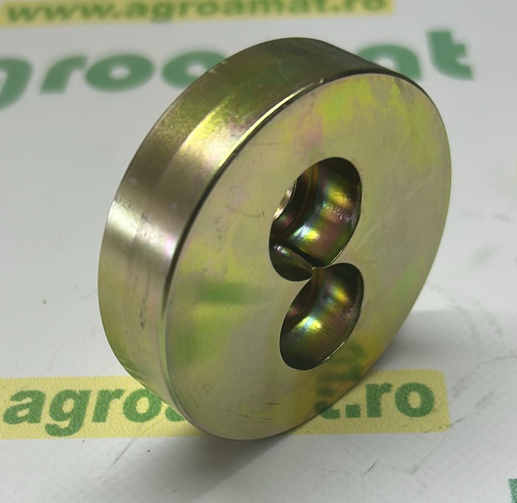 Saiba Rulment D50 T=16mm