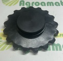 Pinion Z-17 032012