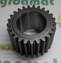Pinion Satelit Fata 1349038C1