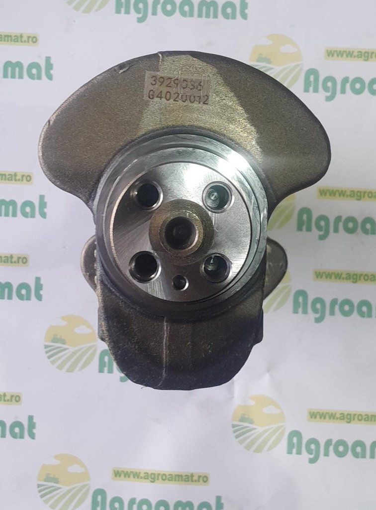 Vibrochen 3907803