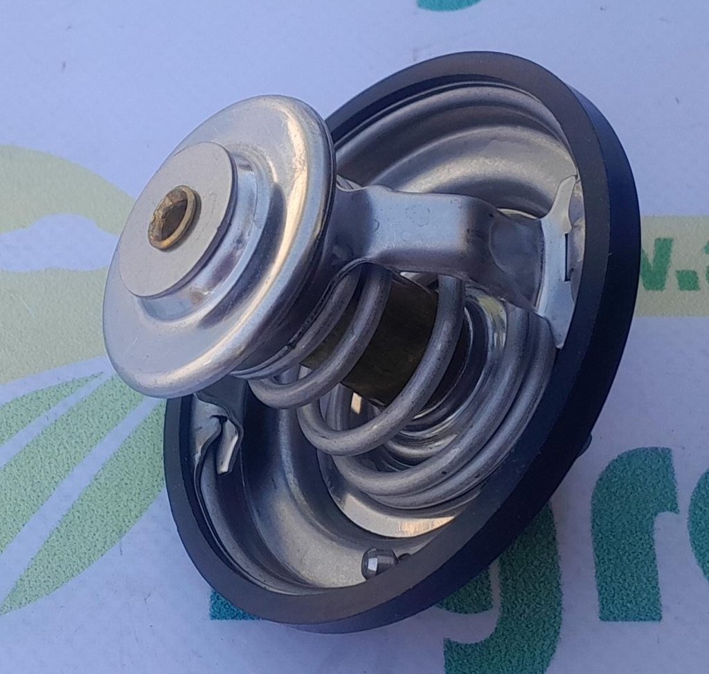 Termostat Motor Org.