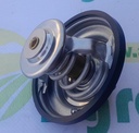 Termostat Motor Org.