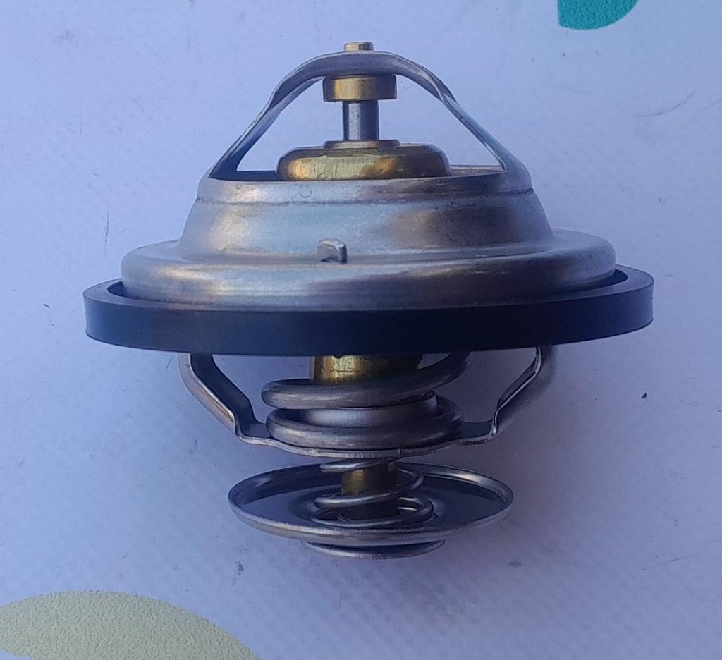 Termostat Motor Org.