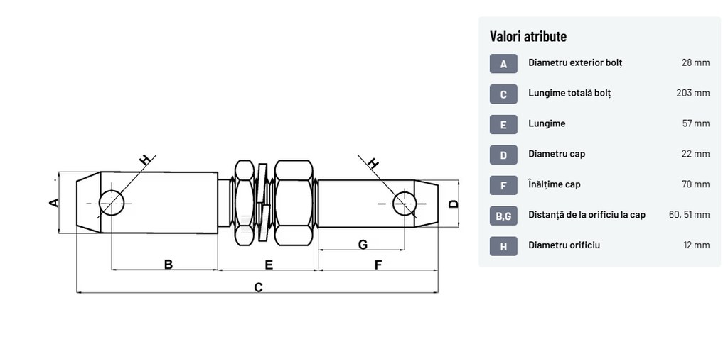 Bolt Tirant Lateral 28/22x203mm