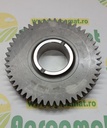 Pinion Grup Conic 5125007