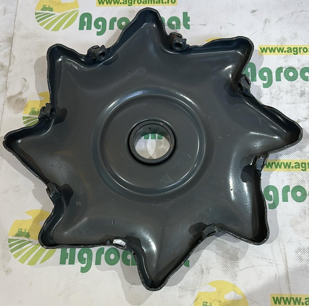 Steluta Batator 674479