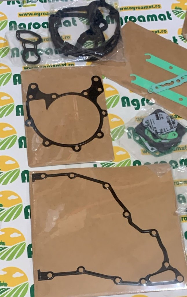 Set Garnituri Motor Org. 02937588
