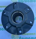Butuc 6 Gauri 649959