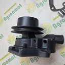 Pompa Apa RE60489