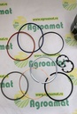 Kit Piston DZ10211