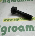 Surub Biela R66453