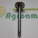 Supapa Admisie F285200210230 
