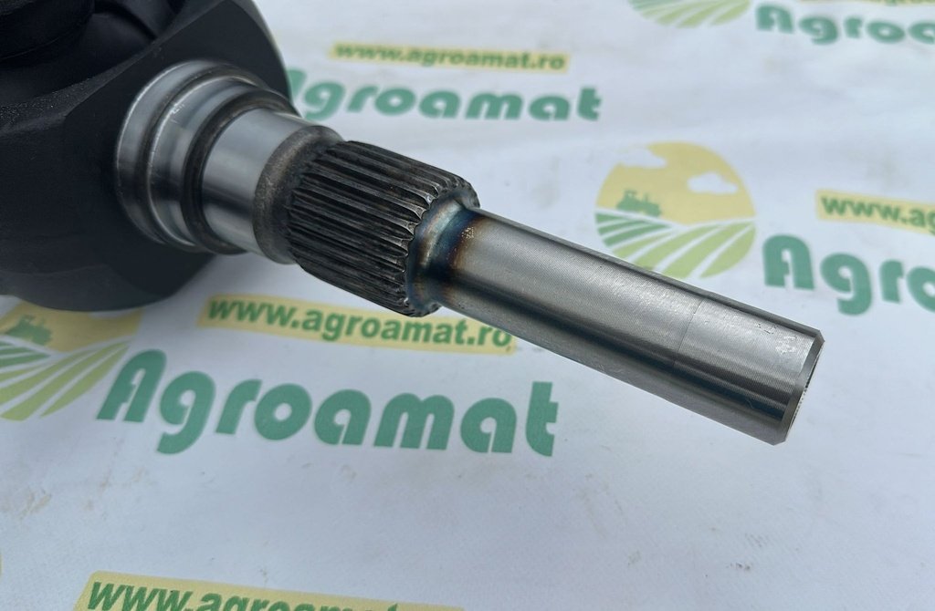 Planetara Punte Fata RE586742 