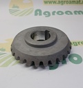 Pinion 322494050