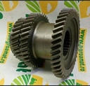 Pinion 5154383