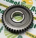 Pinion 598180 Z-41/42