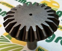 Pinion Z-21