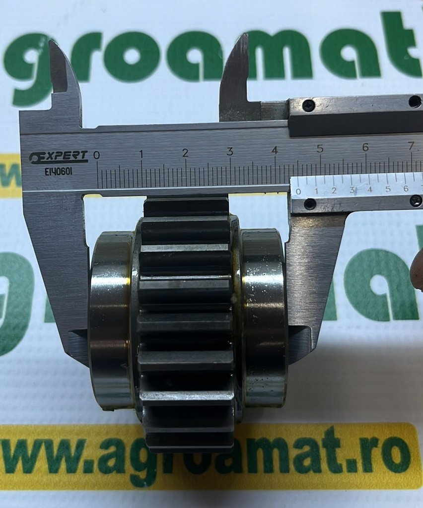Pinion Angrenare 0.008.4665.0