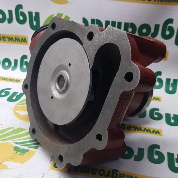 Pompa Apa Org. 02931946